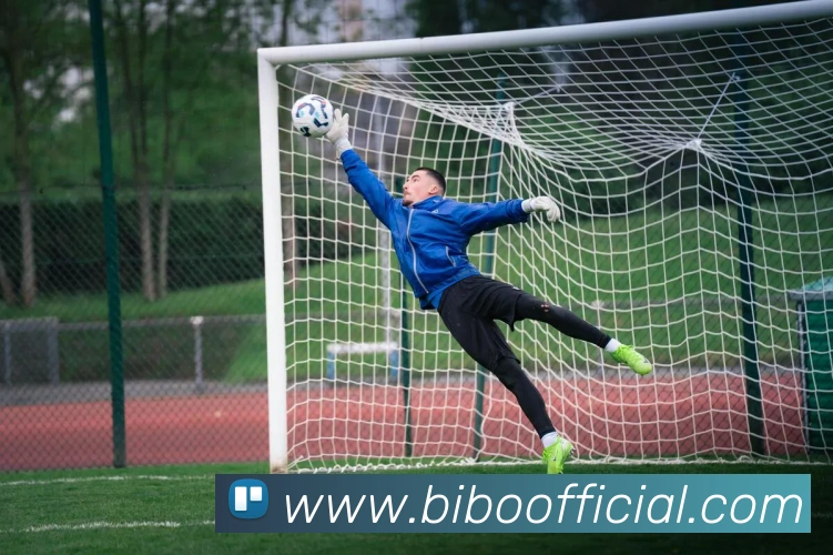 必博体育品牌故事