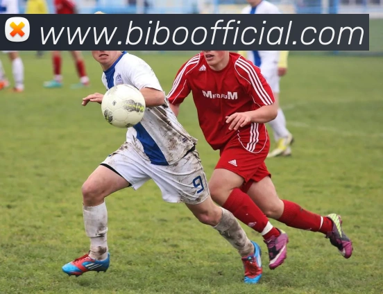 必博体育服务体系